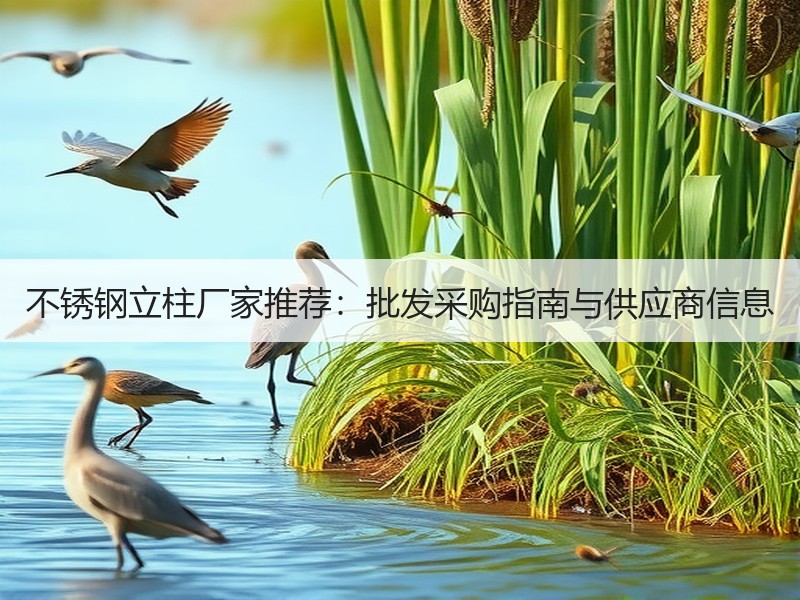 不锈钢立柱厂家推荐：批发采购指南与供应商信息