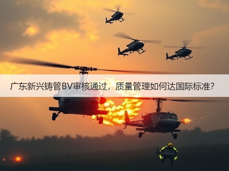 广东新兴铸管BV审核通过，质量管理如何达国际标准？