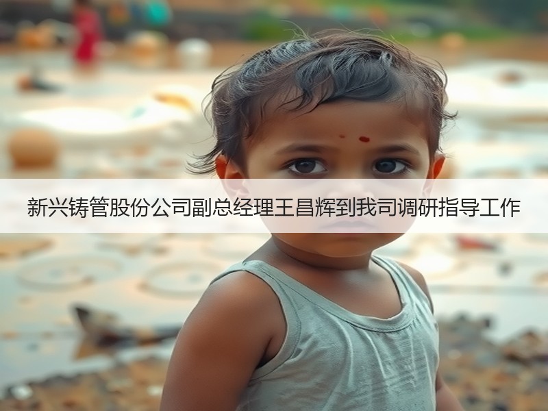 新兴铸管股份公司副总经理王昌辉到我司调研指导工作